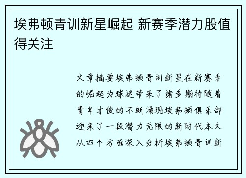 埃弗顿青训新星崛起 新赛季潜力股值得关注